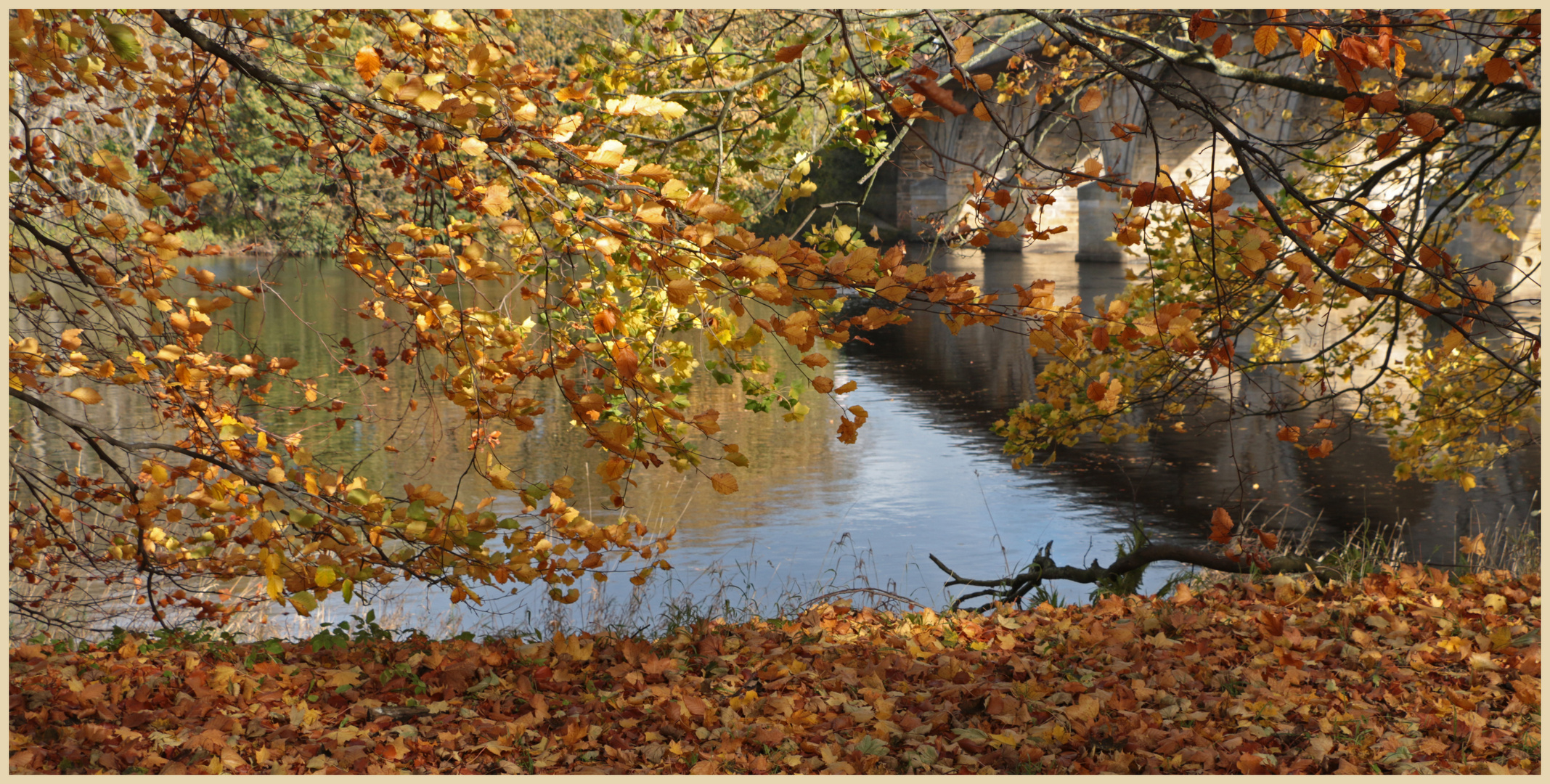 River Tyne at Hexham 3