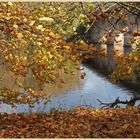 River Tyne at Hexham 3