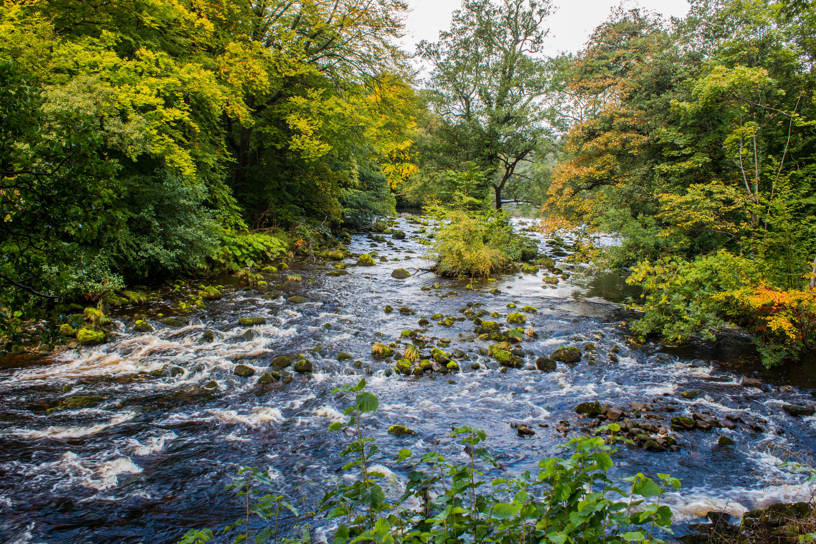 River Wharfe