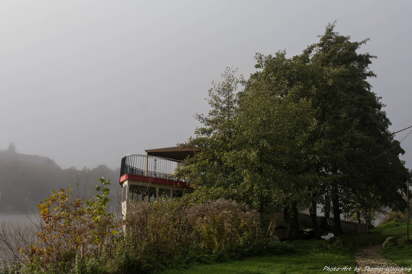 Riverboot hinter den Bäumen