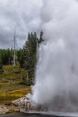 Riverside Geyser