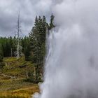 Riverside Geyser