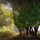 Riverside in den Morgen