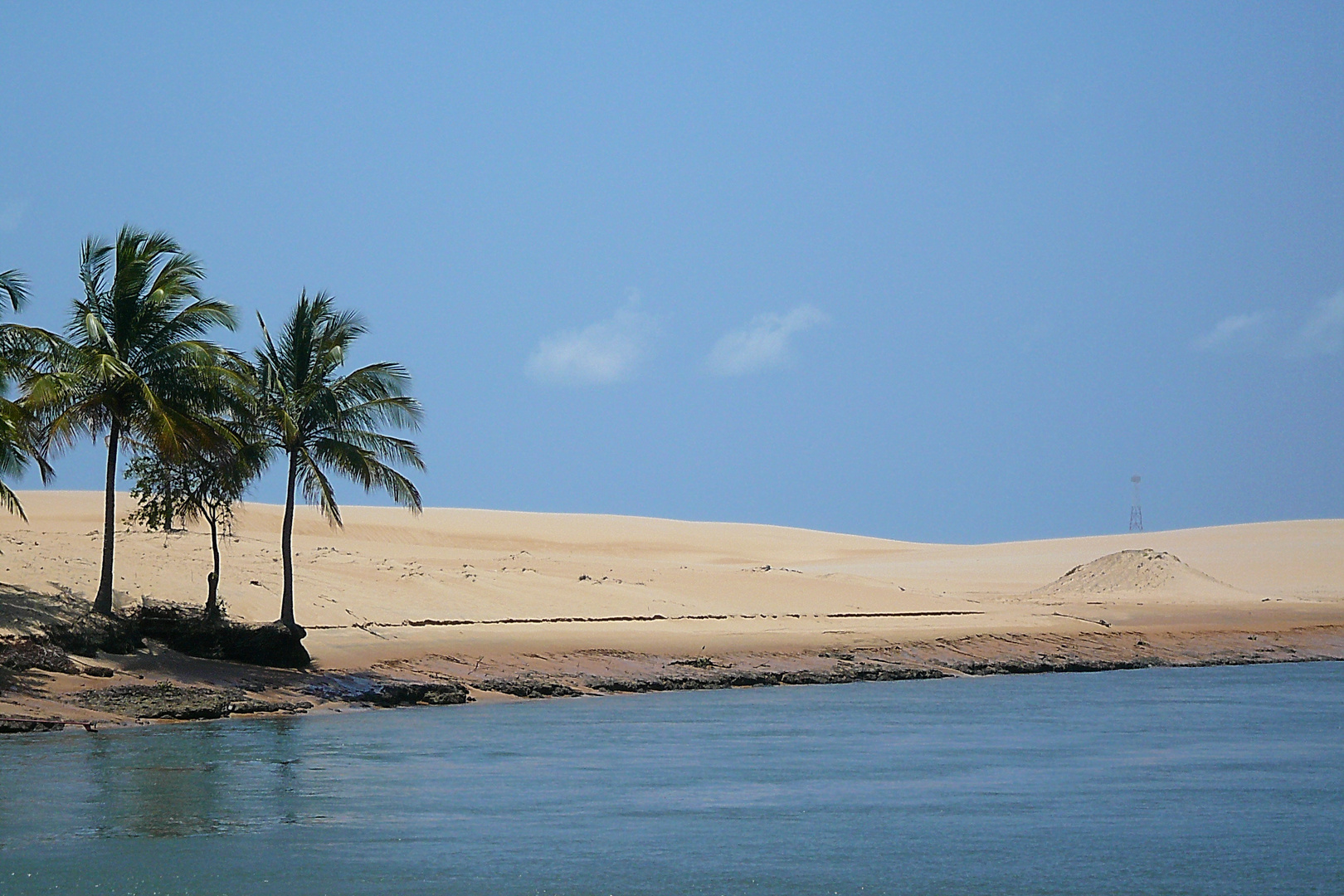 Riverside - Palm trees & dunes