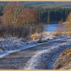 riverside path at kielder