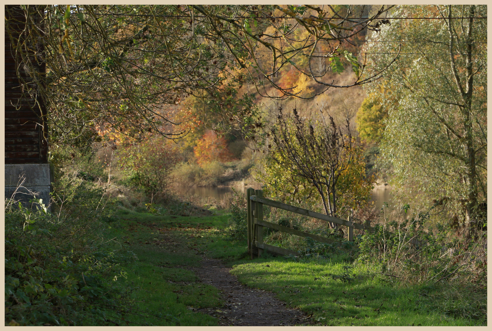 Riverside path at Norham