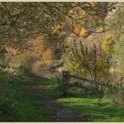 Riverside path at Norham