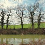 Rives du canal du Midi .