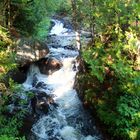 Rivière dans les Laurentides