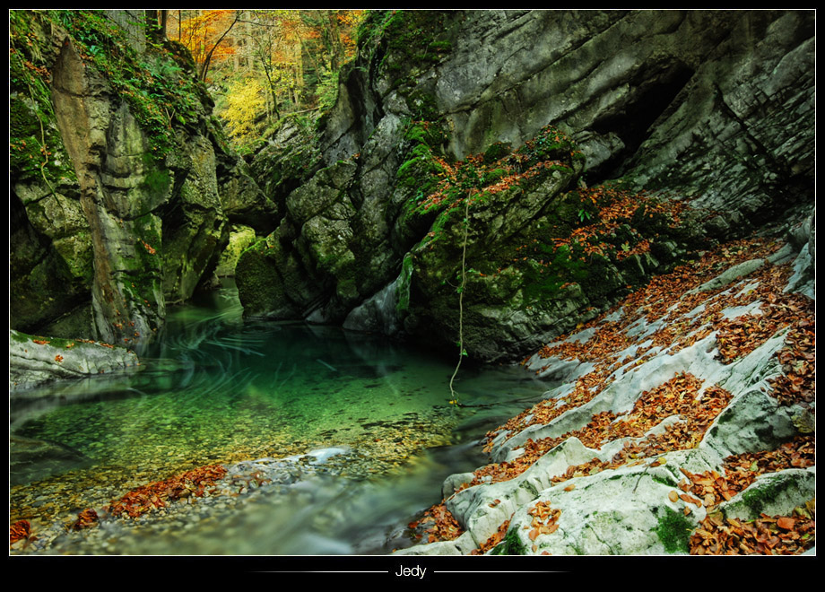 •Rivière d'automne•