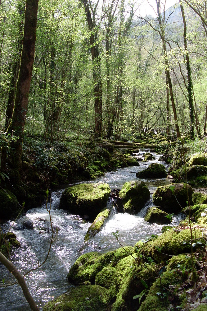 Rivière de la cascade d'autoire (lot)