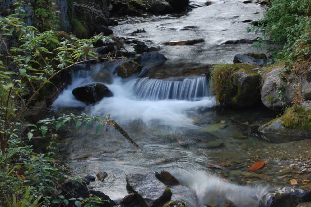 rivière des hautes pyrénées