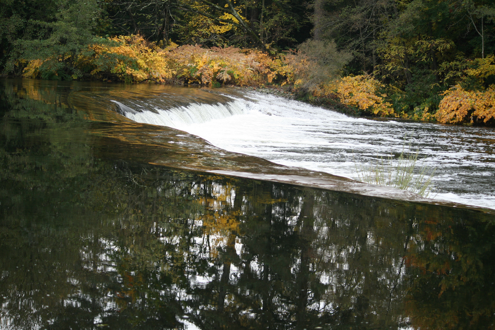 rivière en automne