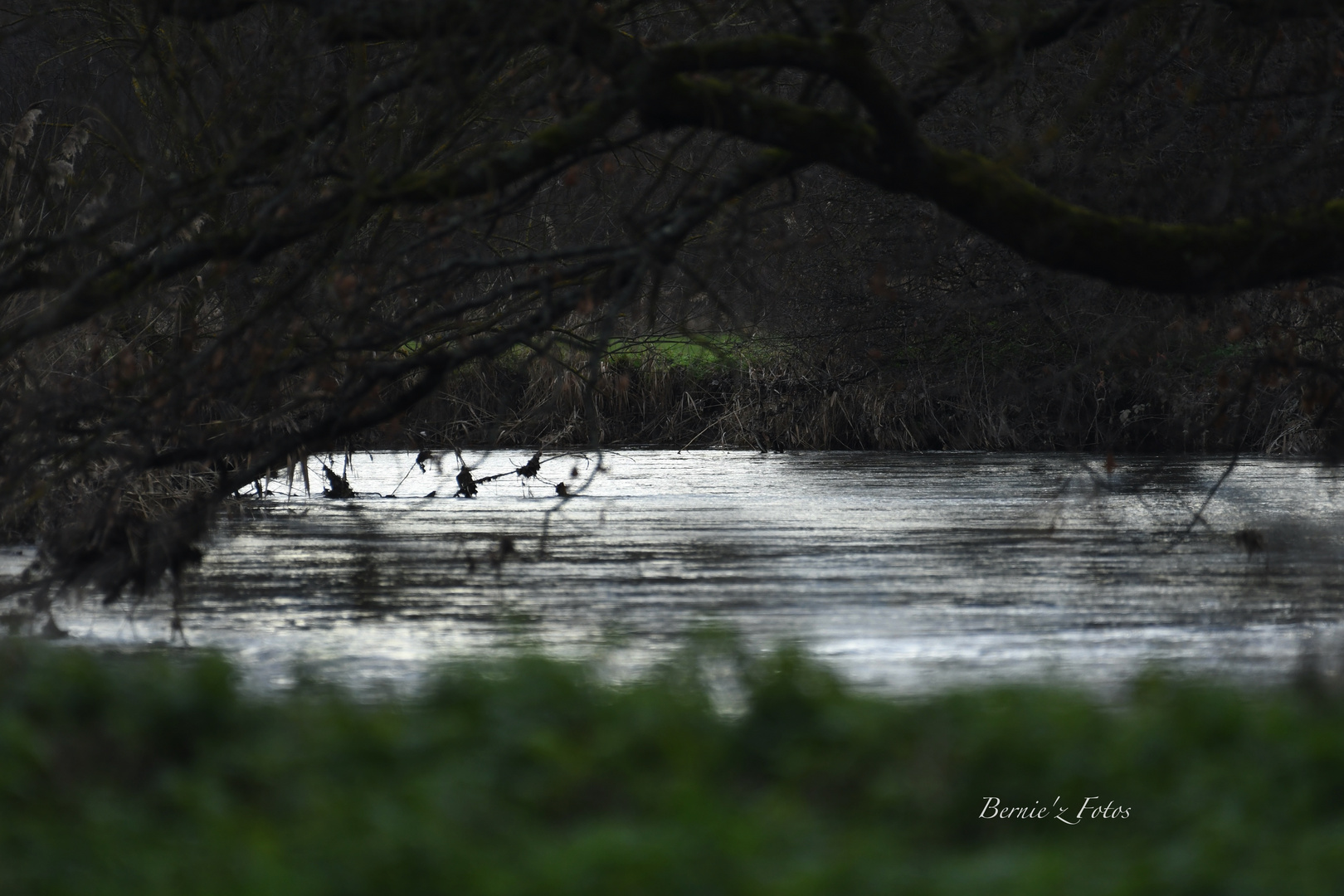 Rivière en forêt