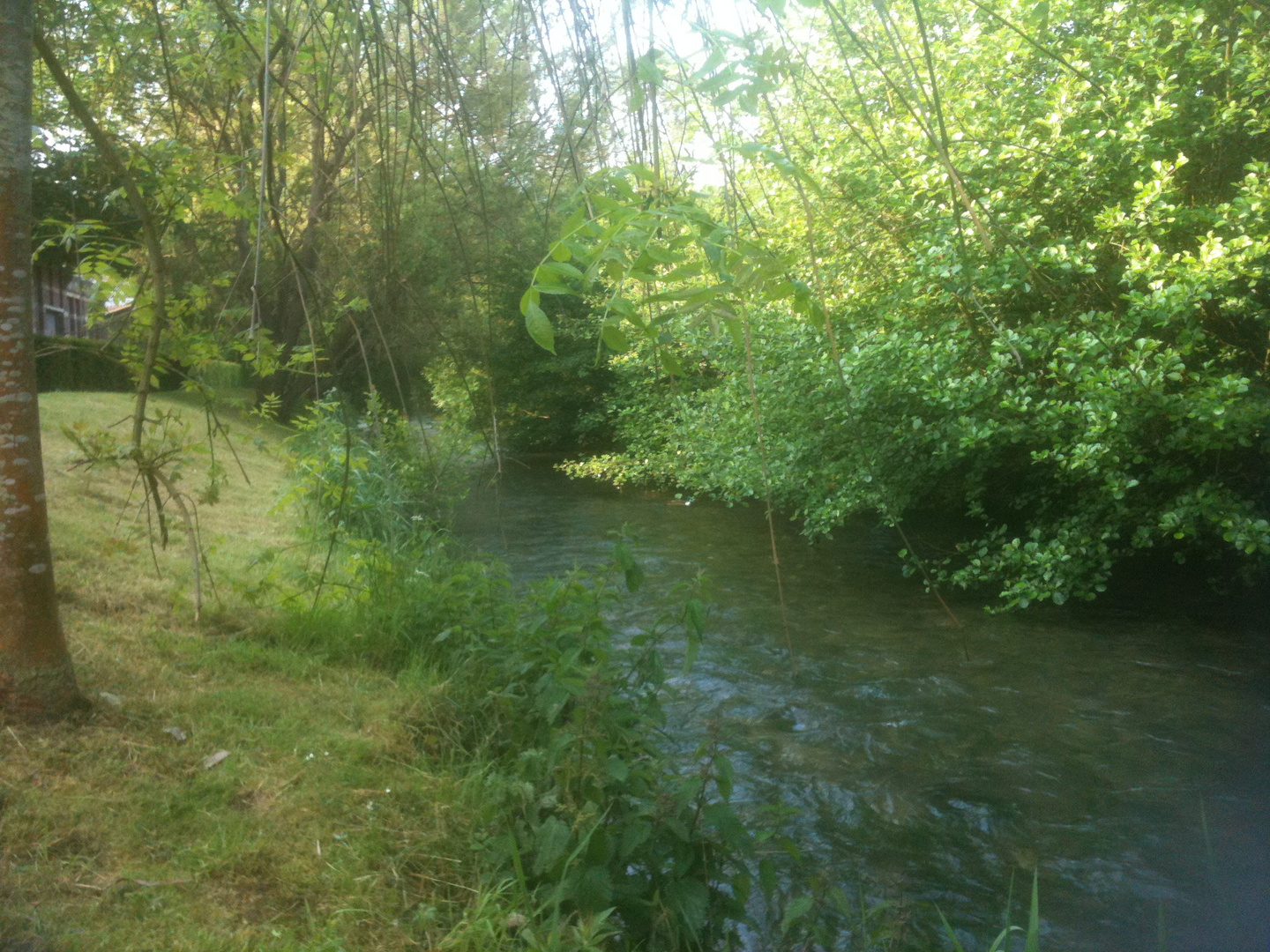 rivière en pleine ville