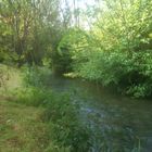 rivière en pleine ville