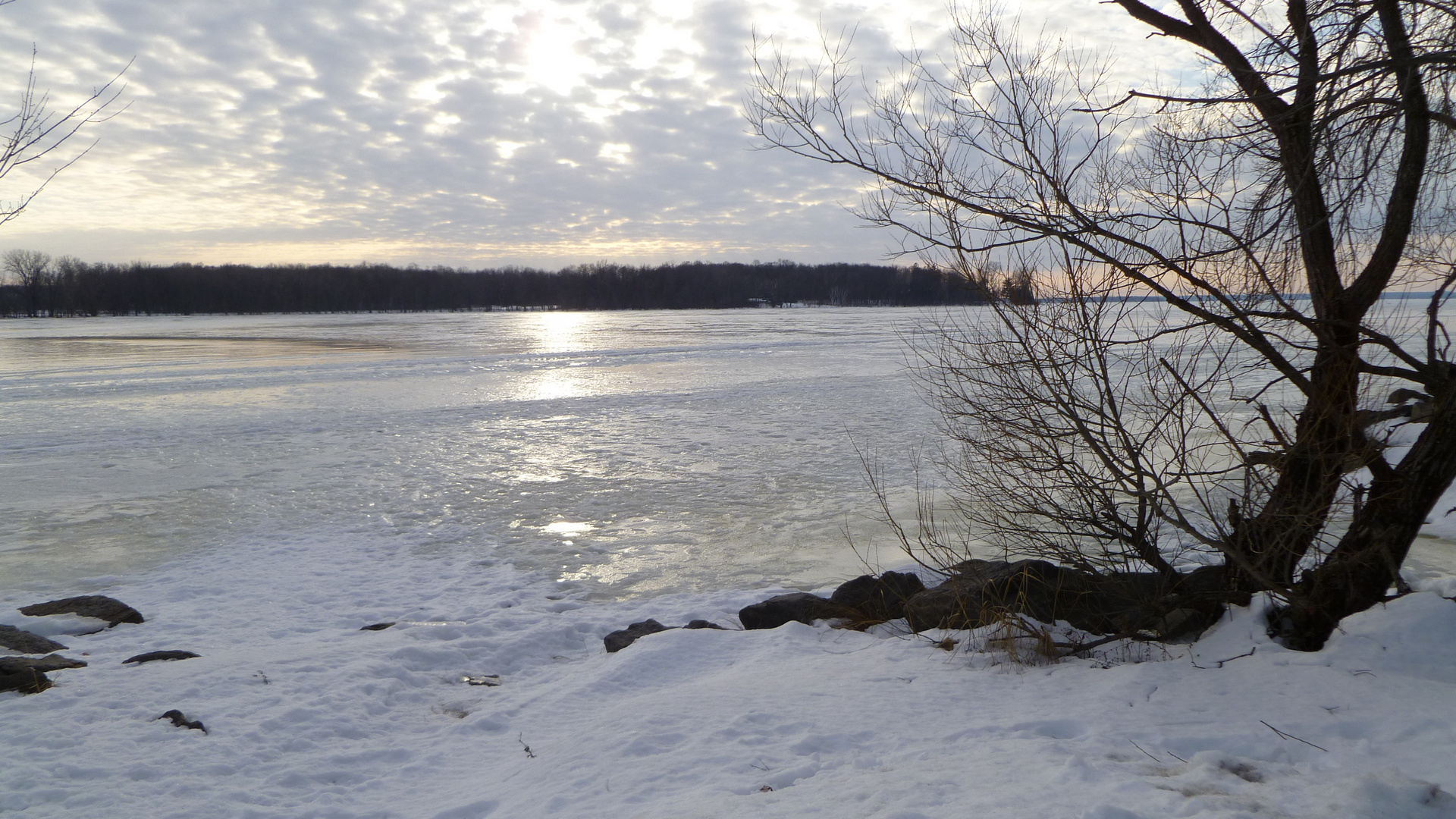 Rivière gelée ile de Montréal