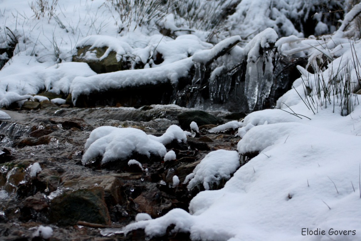 Rivière glacée