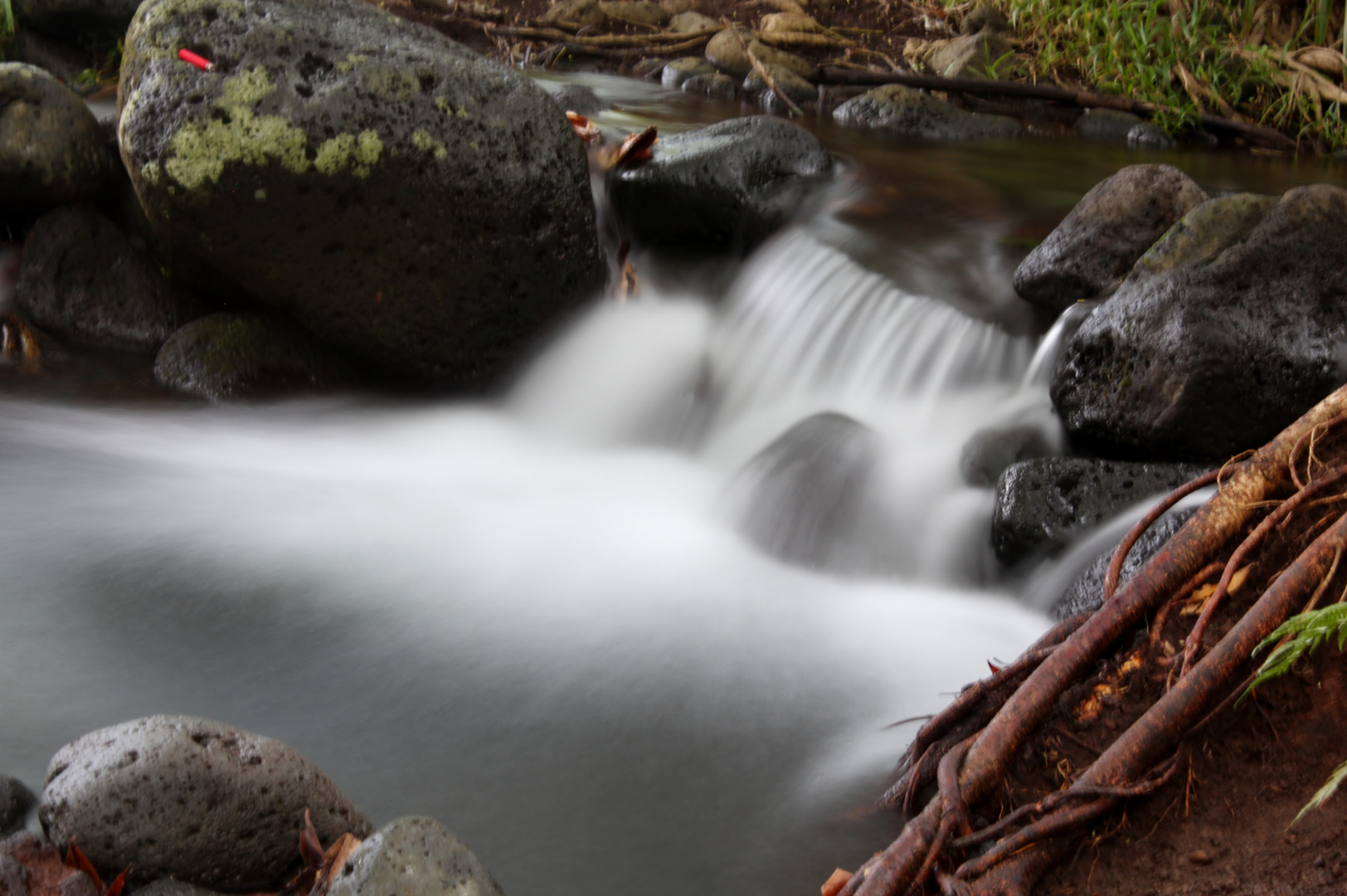 Riviere la Reunion