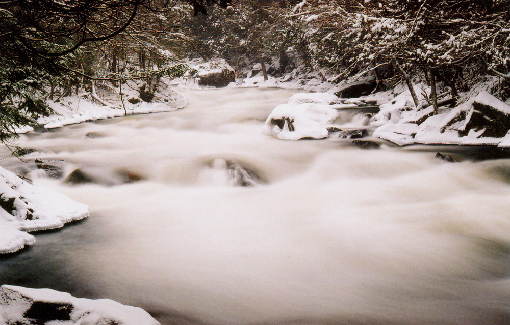 Rivière maskinongé