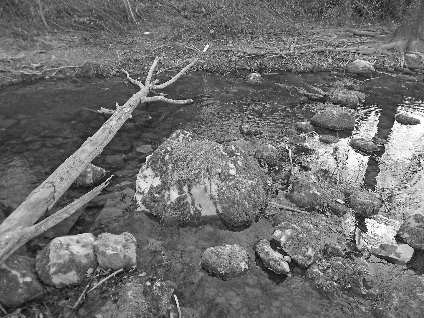 riviere noir et blanc