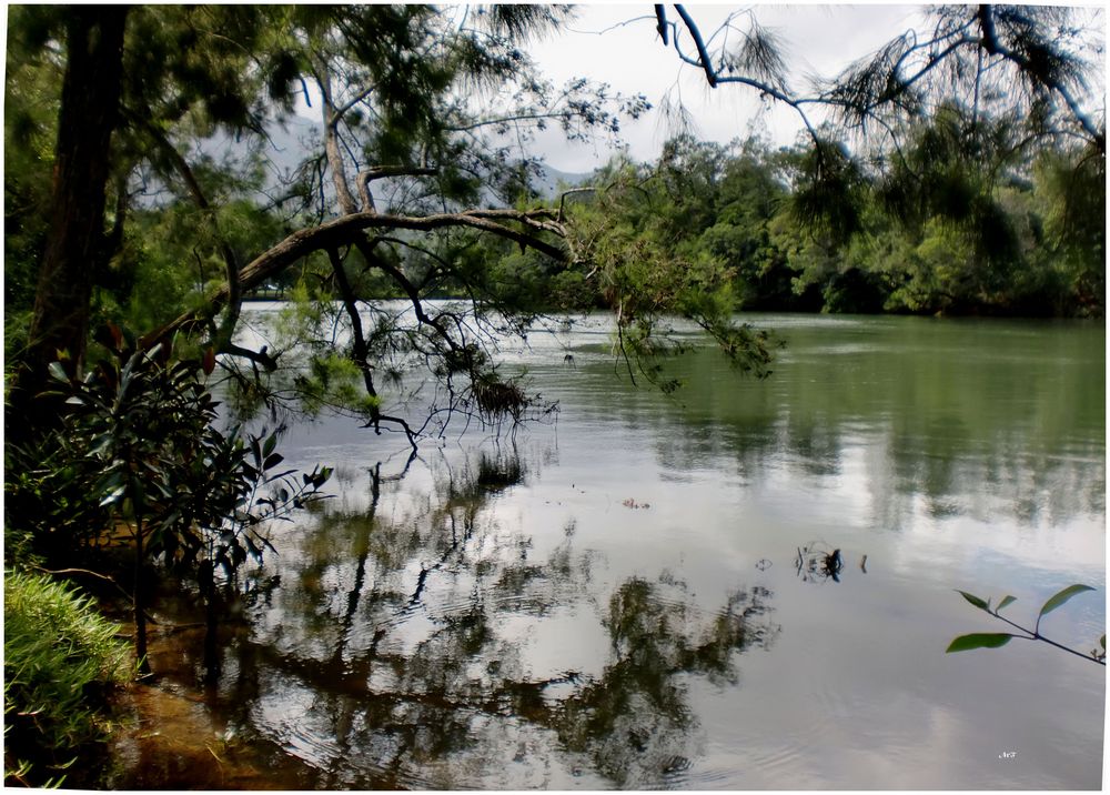 Rivière tranquille