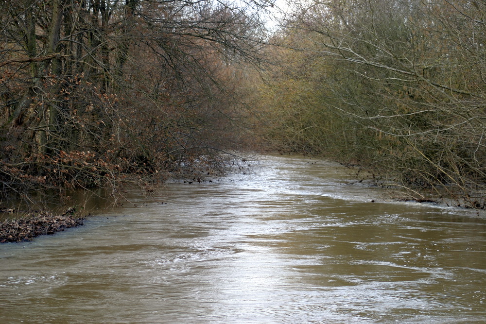 rivières