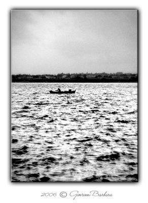 "..rivoglio l'acqua che sapevi tu, rivoglio il mare,..silenzio,luce e pesci volanti,sopra a volare."