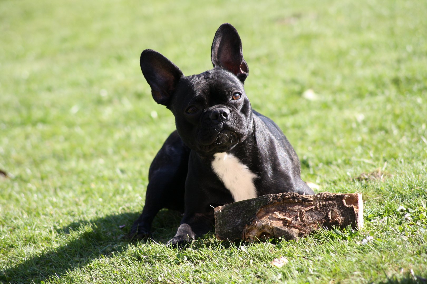 Rixel, 2 Jahresbild