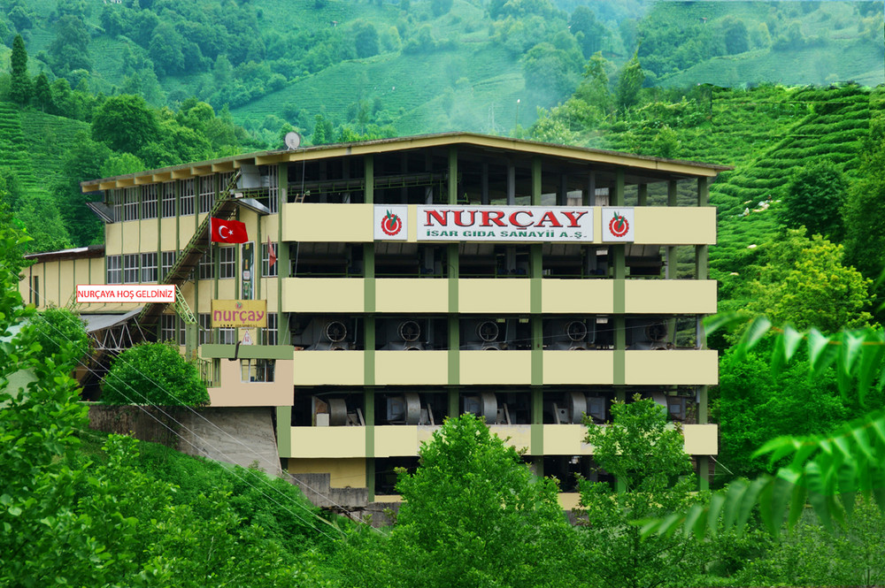 RiZE DEREPAZARI NURCAY