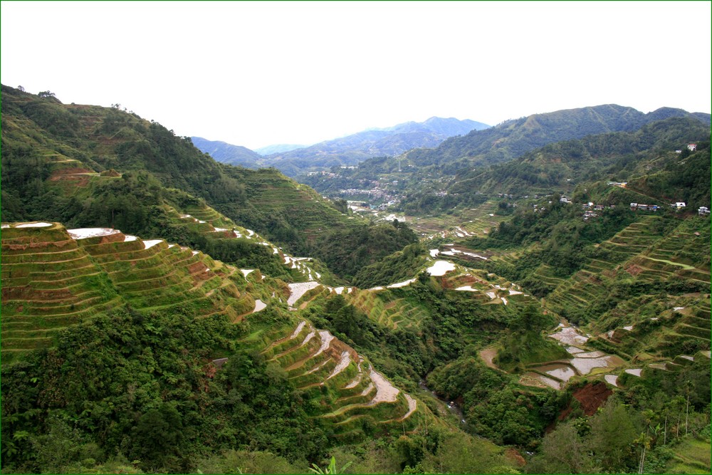 rizières de banaue