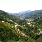 rizières de banaue