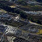 Rizières en terrace de Yuanyang, Yunnan, Chine.