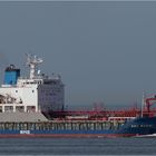 RMS WEDAU + TIGRIS , Rotterdam.