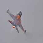 RNLAF F-16 Solo Display