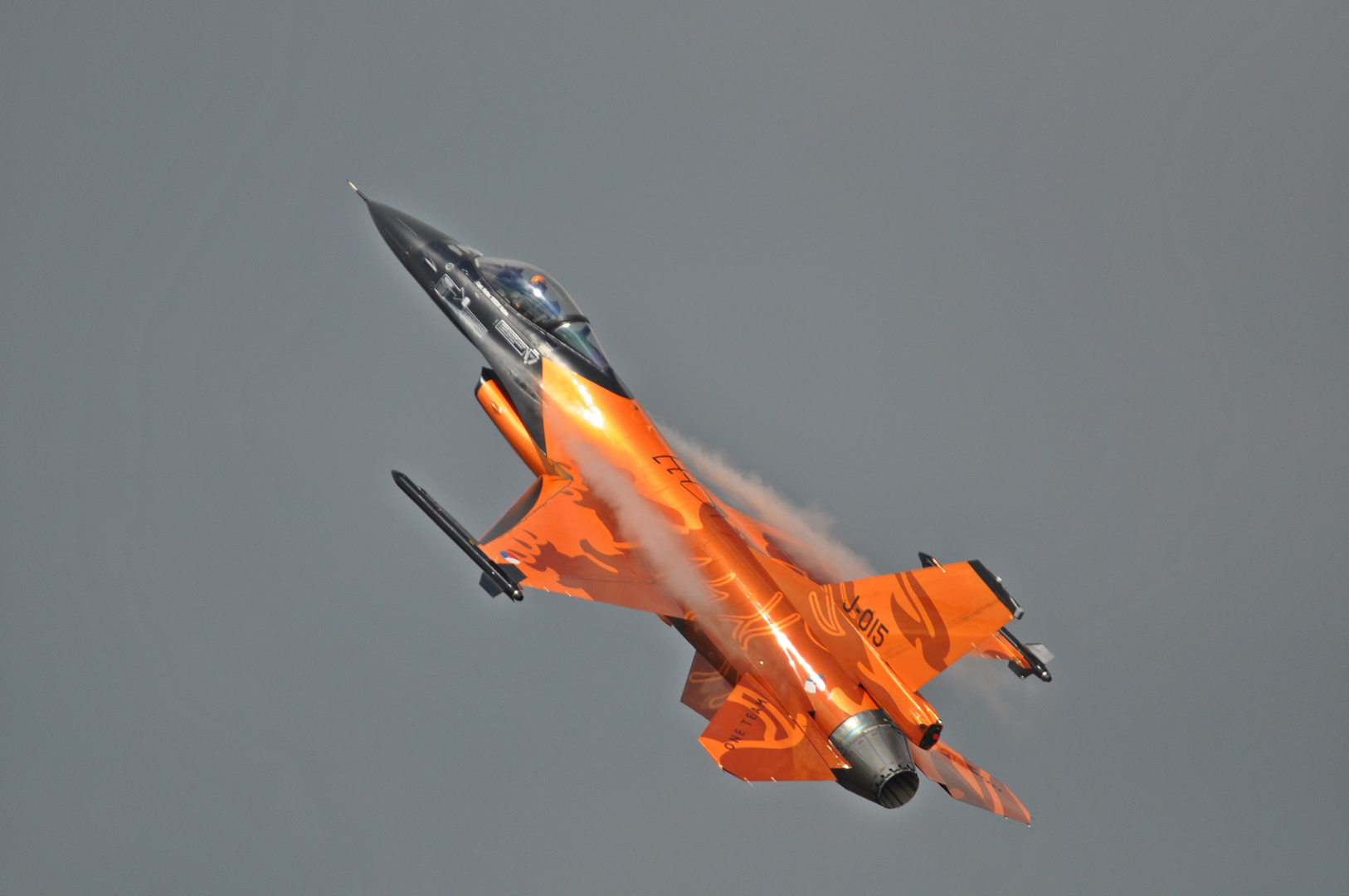 RNLAF Lion