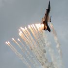 RNLAF Open Dagen 2008 Leeuwarden Pic 10