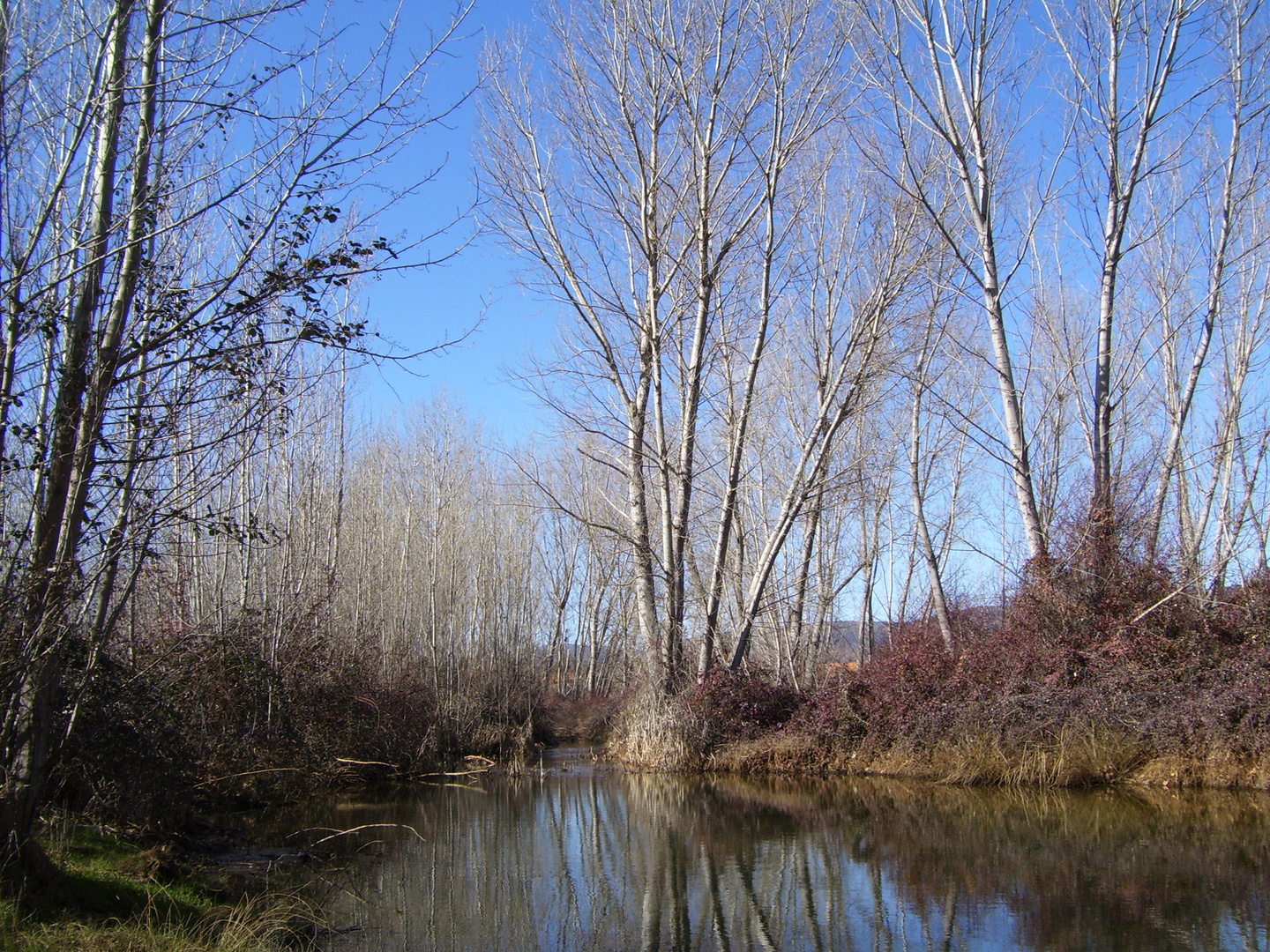 RÍO ALGODOR...FERNANDO LÓPEZ   fOTOGRAFÍAS...