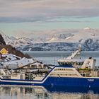 RO FORTUNE (ALESUND/NOR), MODERN FISH CARRIER