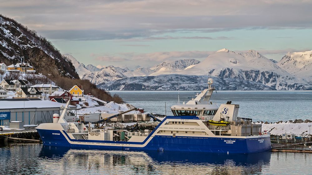 RO FORTUNE (ALESUND/NOR), MODERN FISH CARRIER