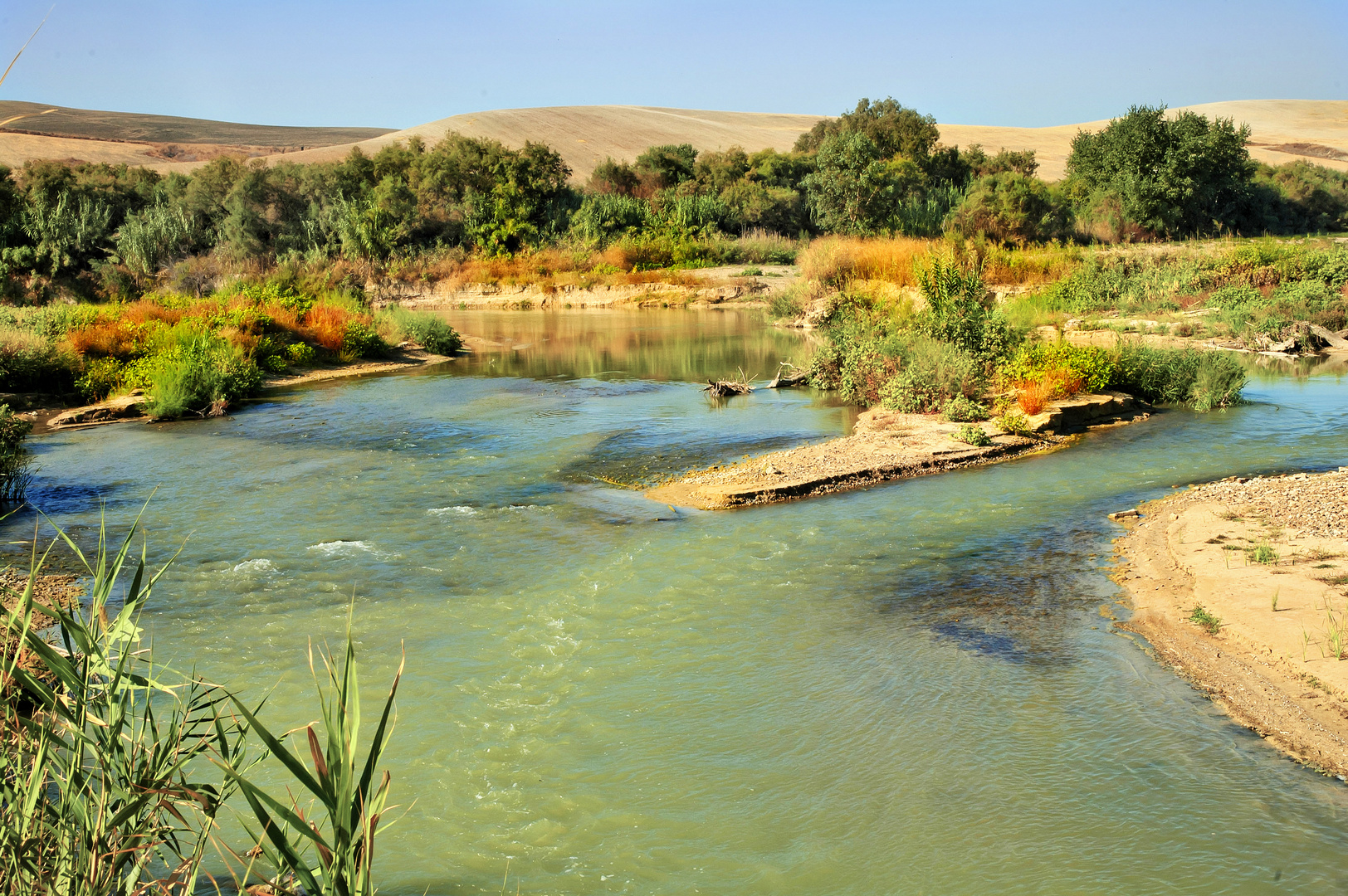 RÍO GUADAJOZ ( Dedicada a mi amigo Ernest )