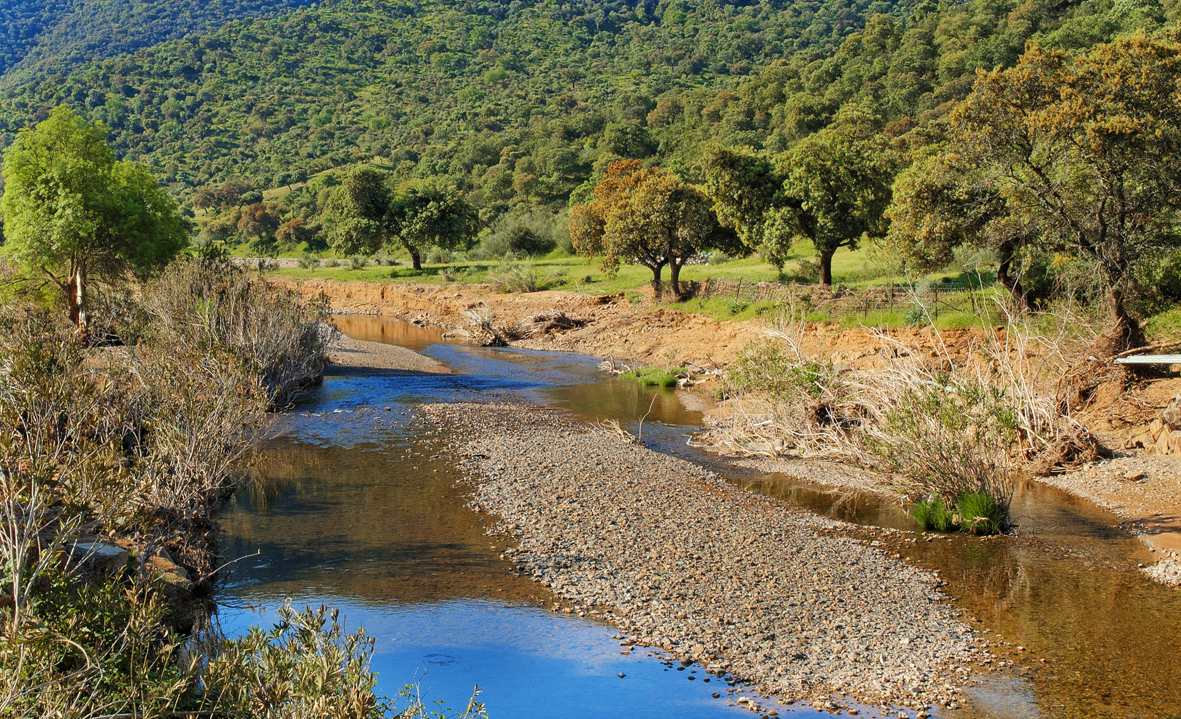 RÍO GUADALBARBO 1