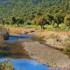 RÍO GUADALBARBO 1