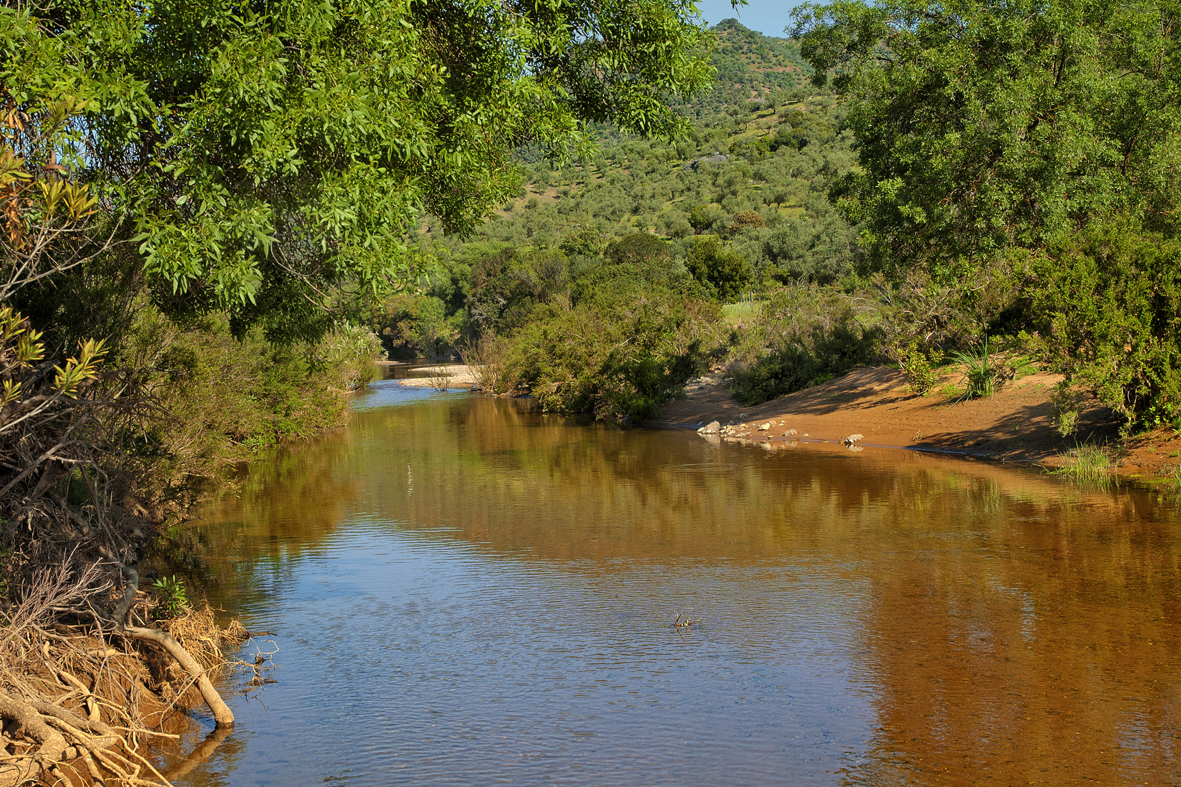 RÍO GUADALBARBO