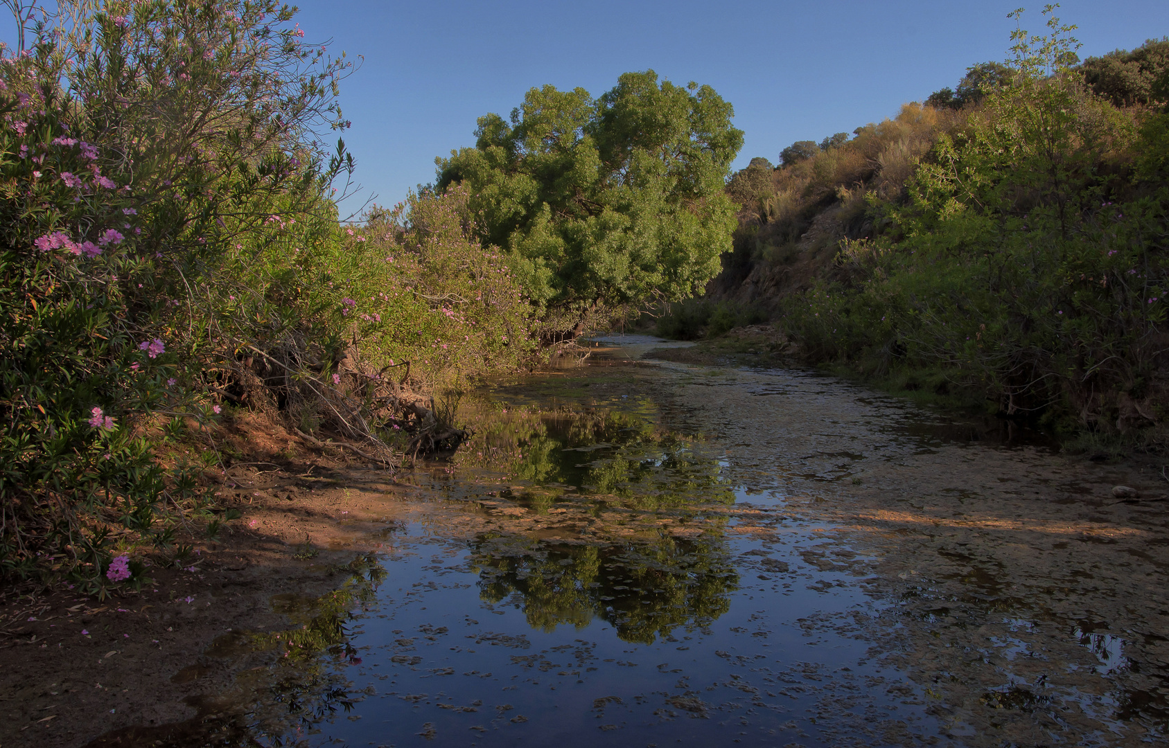 RÍO GUADALBARBO (EN VERANO)