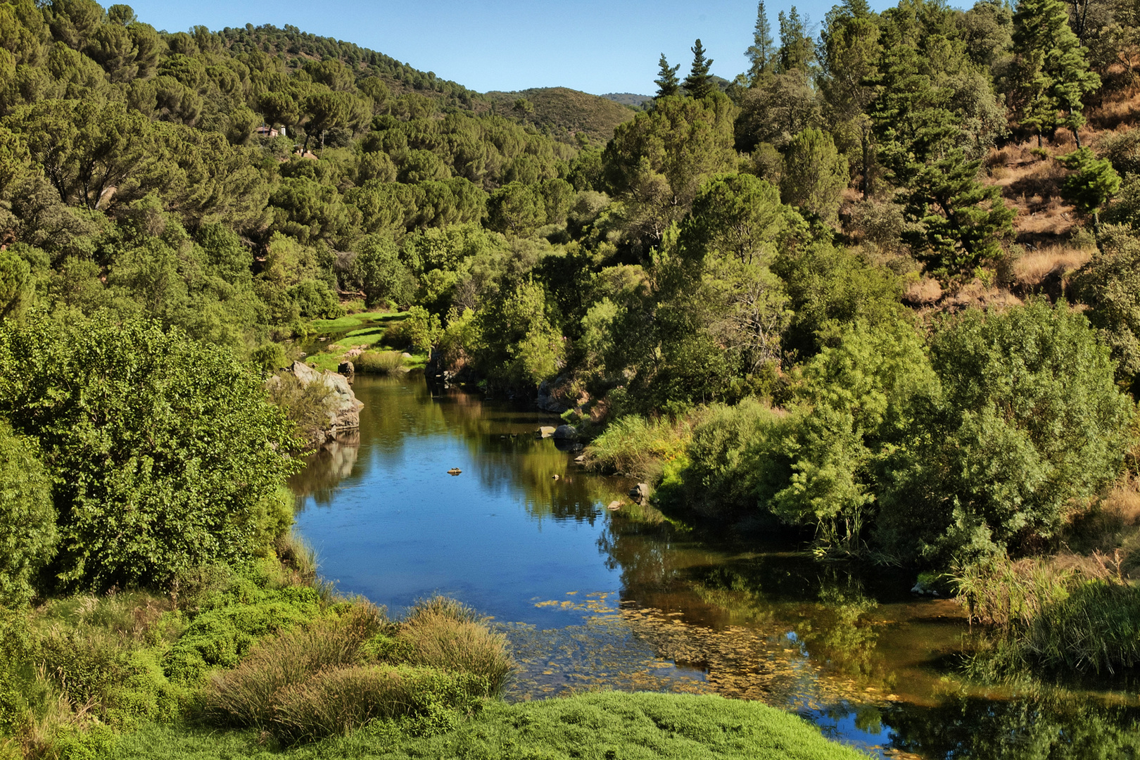 RÍO GUADIATO