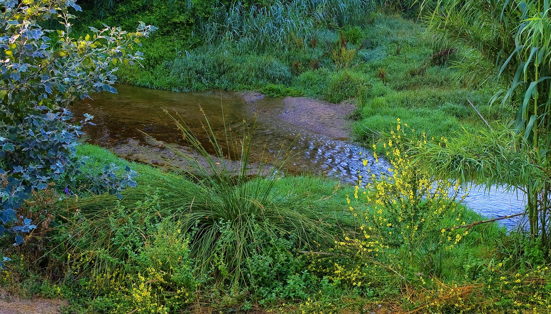 RÍO TENES