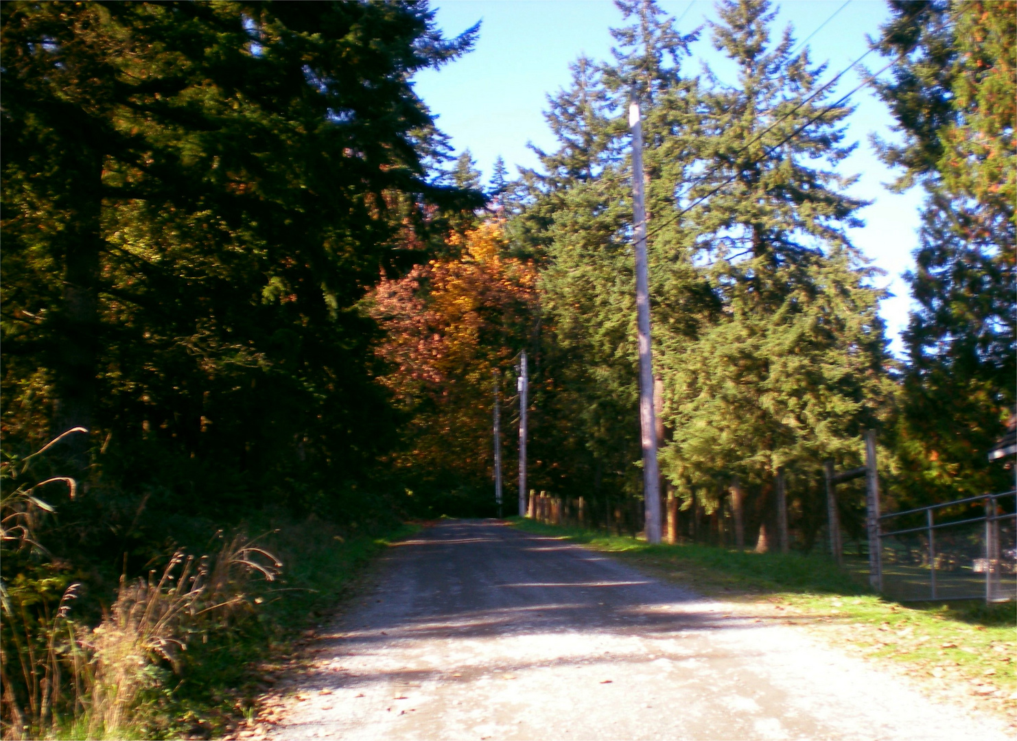 Road