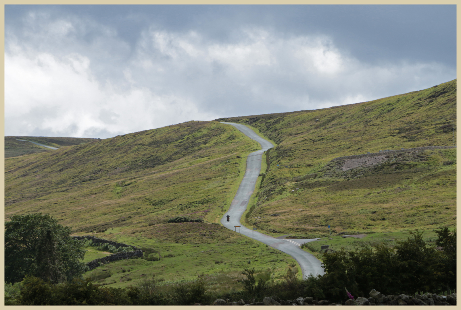 road above westerdale 3