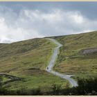 road above westerdale 3